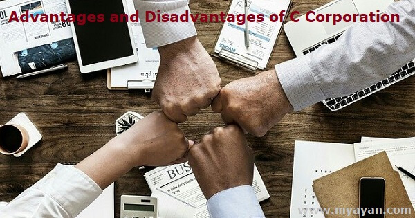 Advantages and Disadvantages of C Corporation (C Corp)