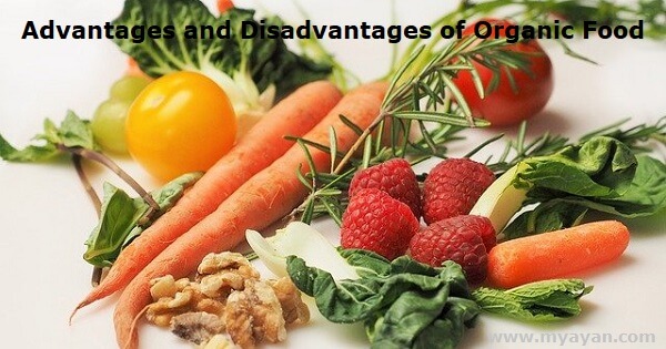 Advantages and Disadvantages of Organic Food
