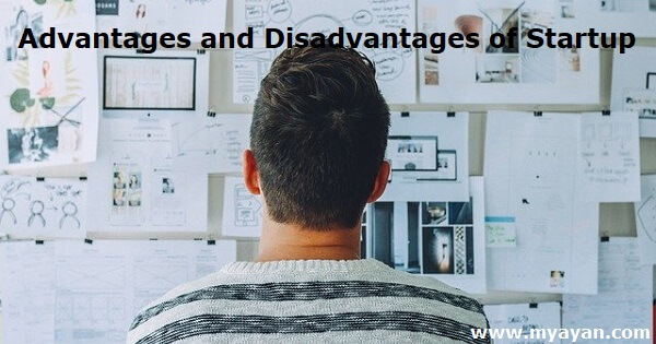 Advantages and Disadvantages of Startup
