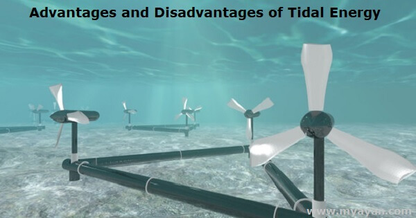 Advantages and Disadvantages of Tidal Energy