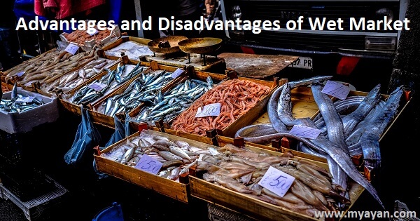 Advantages and disadvantages of wet market
