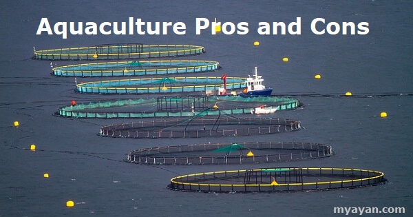 Aquaculture Pros and Cons