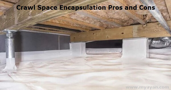 Crawl Space Encapsulation Pros and Cons