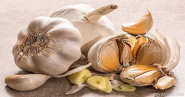Benefits of Garlic. Advantages of Raw Pills Garlic Treats Cold
