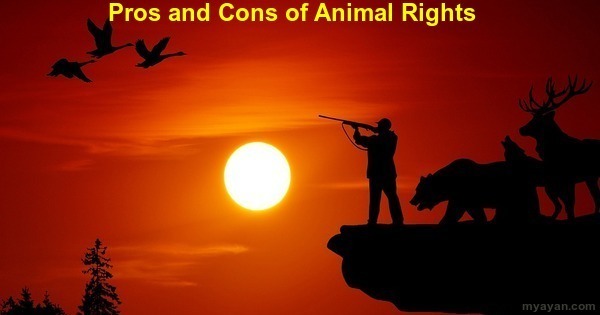 Pros and Cons of Animal Rights