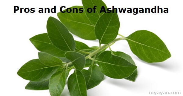 Pros and Cons of Ashwagandha