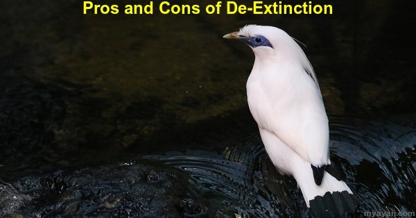 Pros and Cons of De-Extinction