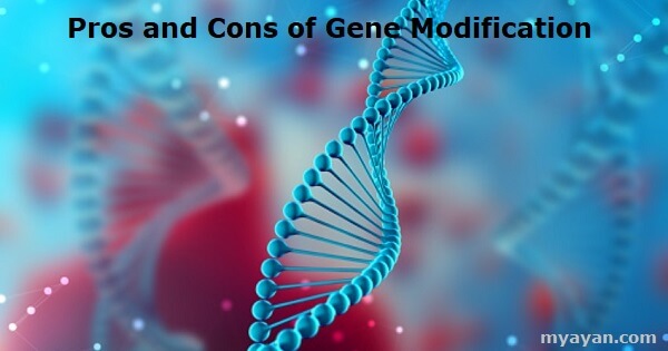 Pros and Cons of Gene Modification