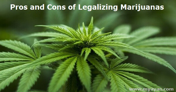 Pros and Cons of Legalizing Marijuanas