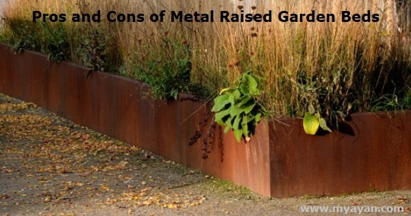 Pros and Cons of Metal Raised Garden beds