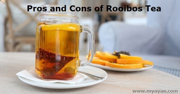 Pros and Cons of Rooibos Tea
