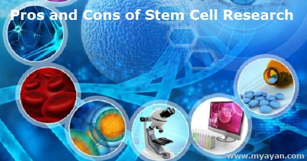 Pros and Cons of Stem Cell Research