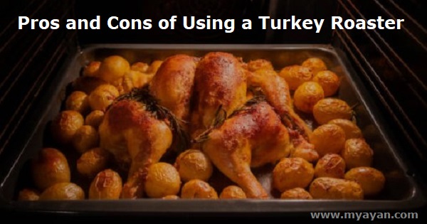 Pros and Cons of Using a Turkey Roaster