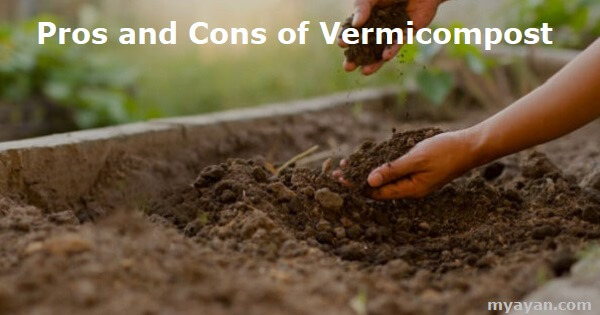 Pros and Cons of Vermicompost