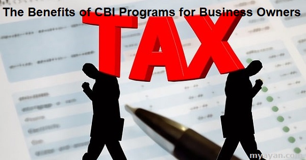 The Best Benefits of CBI Programs for Business Owners